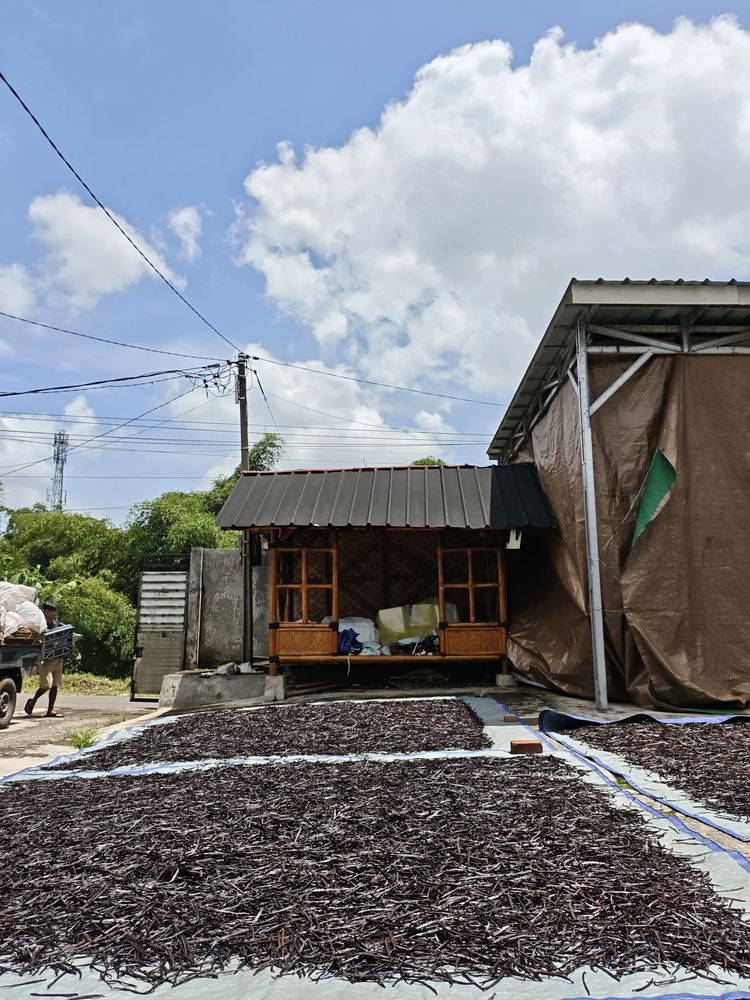 VanillaStory drying yard in Sukabumi, West Java